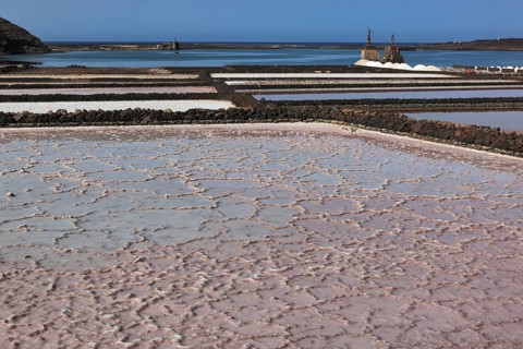 The Salinas de Janubio