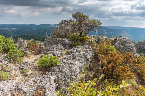 The city of stones
