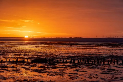 Sunrise in the Wadden Sea National Park