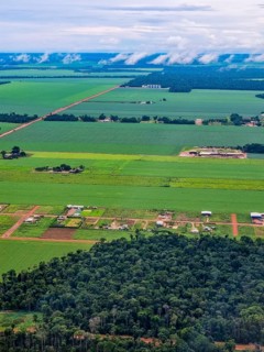 Aerial of the giant soy fields around Sinop