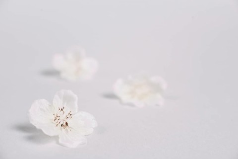 Elements relaxing massage spa
