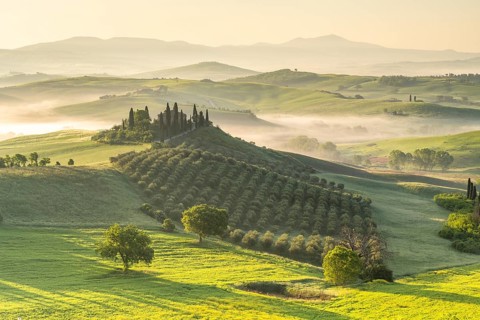 Podere Belvedere