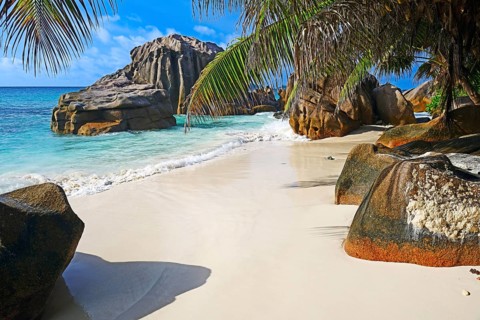 Dream beach Anse Patatas