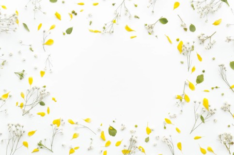 Decorative frame flowers