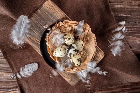 Overhead view of feathers falling on a bowl with quail eggs