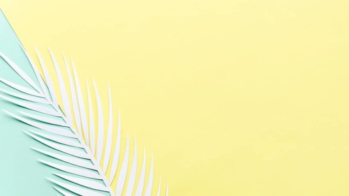 Paper palm leaf bright table