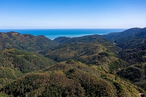 Overlook over the forested south coast of Sakhalin