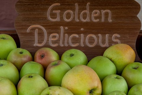 Apples