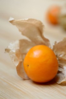 Physalis