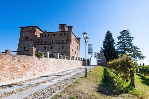 Castle of Grinzane Cavour