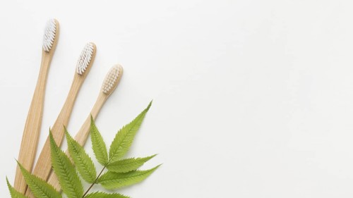 Copy space tooth brushes