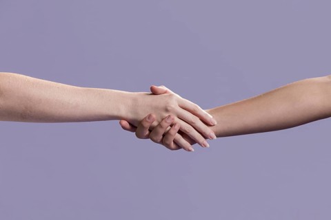 Women handshake as sign peace. Resolution and high quality beautiful photo