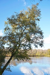 Nature reserve