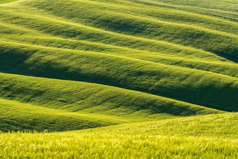 Hilly fields