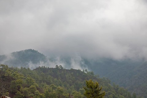 Fog