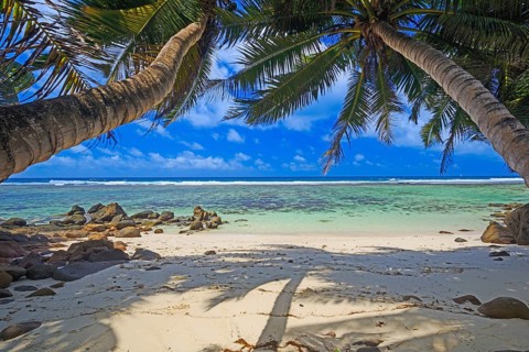 Dream beach Anse Baleine