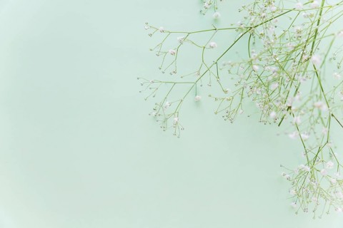 Green flowers branches table