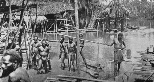Papua of the Potter River in the Interior of German New Guinea