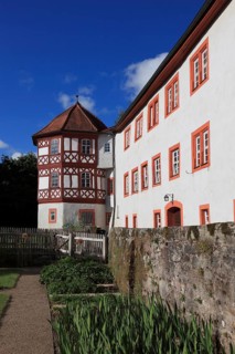 The Red Castle