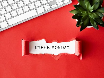 Top view ripped paper with keyboard plant cyber monday. Resolution and high quality beautiful photo