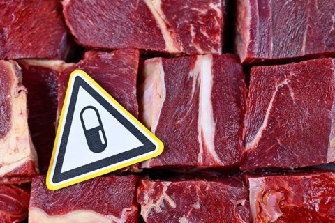 Concept for antibiotics residue and antibiotic resistance in meat for human consumption