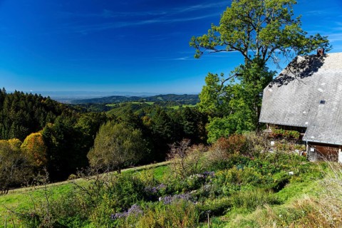 Farm with farm garden and view into the valley