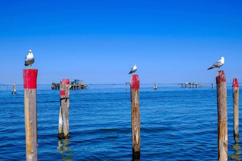 On the lagoon