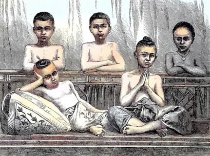 Novices