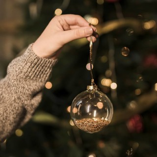 Lady holding ornament transparent christmas ball