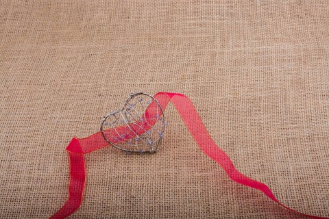 Band and Heart shaped cage on linen canvas