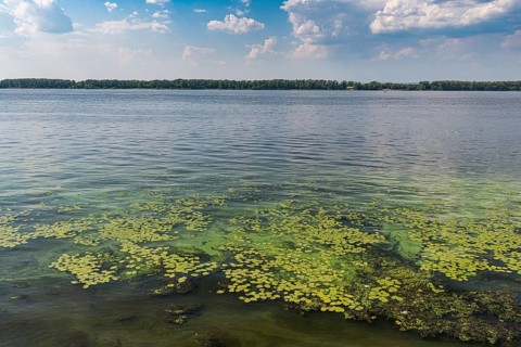 River banks of the Volga