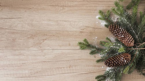 Coniferous twigs snags and ornament snow
