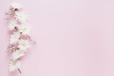 Flowers background