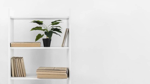 Nordic style bookshelf with plant