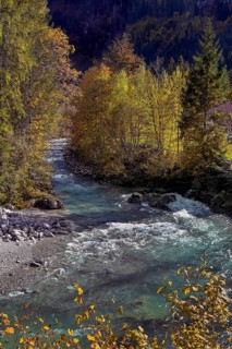 The Ostrach in the autumnal Ostrachtal