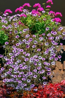 Flower ornaments and vegetation of widem vine