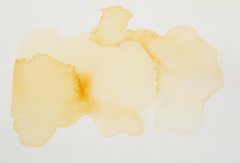 Orange paints white paper