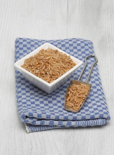 Original grain Kamut