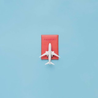 Passport red case toy plane