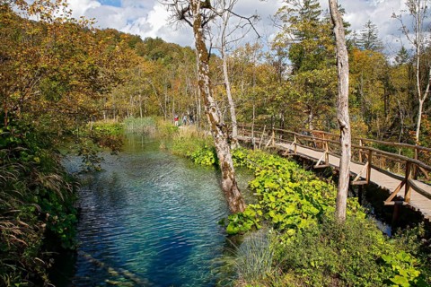 Wooden footbridge through Plitvice Lakes National Park