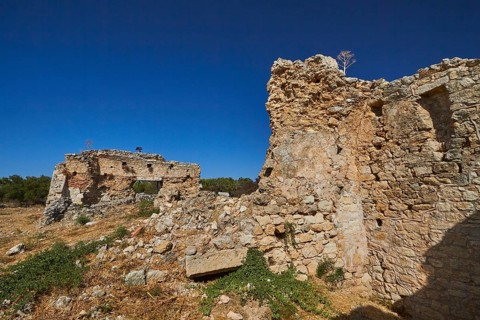 Aptera