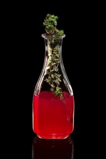 Fresh cranberry juice as ingredient for vodka cocktail isolated on black