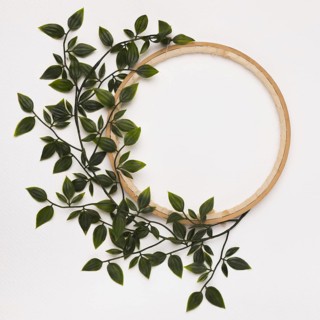 Green leaves decorated wooden circle frame against white backdrop