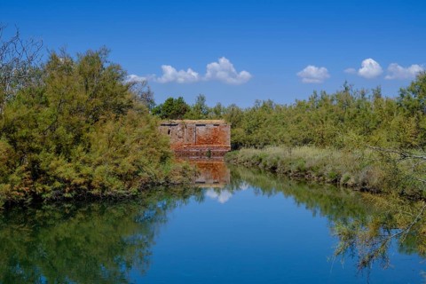 Fortification