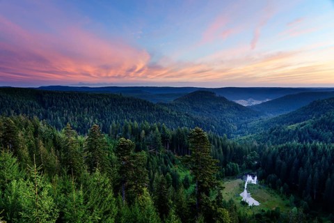 View from the Ellbachseeblick viewing platform
