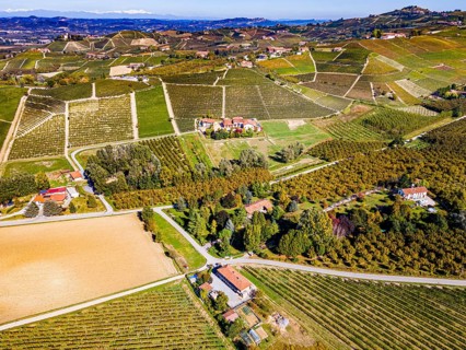 Aerials of the wineyards around Castle of Grinzane Cavour