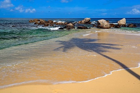 Dream beach Glacis Beach in the evening with shade of a coconut palm