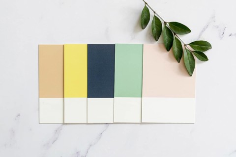 Color swatches plain background