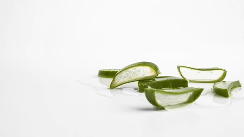 Close up view aloe vera beauty concept