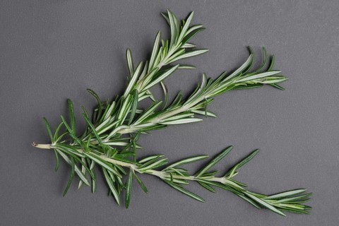 Top view of bunch of rosemary on grey background